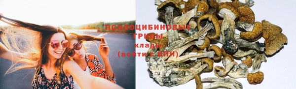 мескалин Михайлов