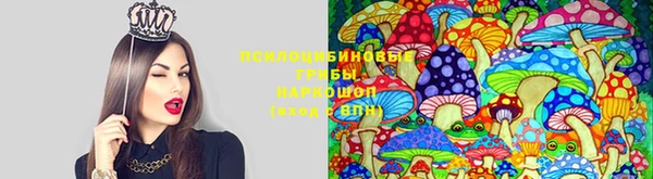 герыч Мегион