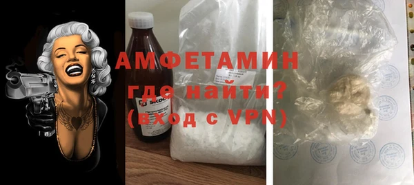 индика Медногорск