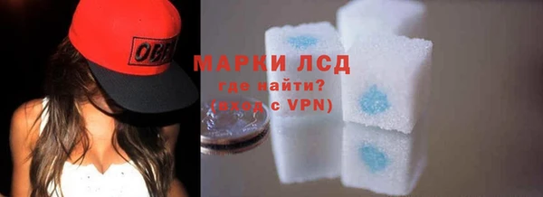 индика Медногорск