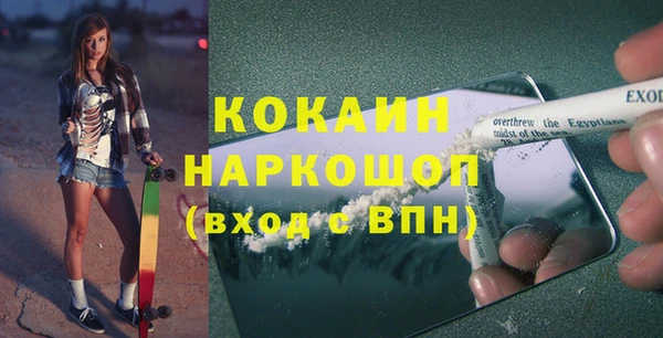 индика Медногорск