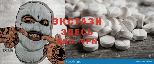 индика Медногорск