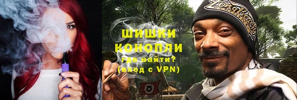 индика Медногорск