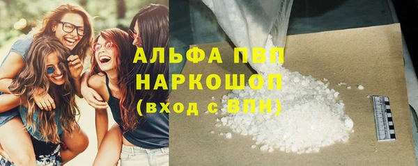 индика Медногорск