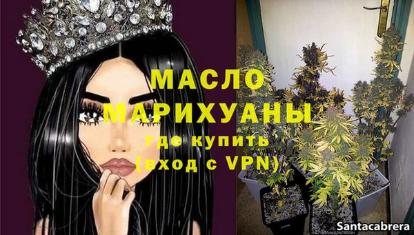индика Медногорск