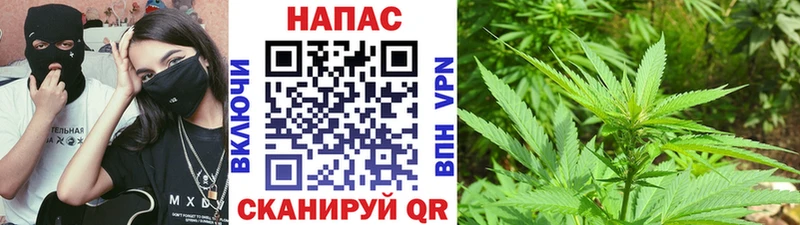 наркота  Шацк  Бошки Шишки MAZAR 